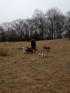emily hayward, dog trainer, women's appreciation series, dog training in the field