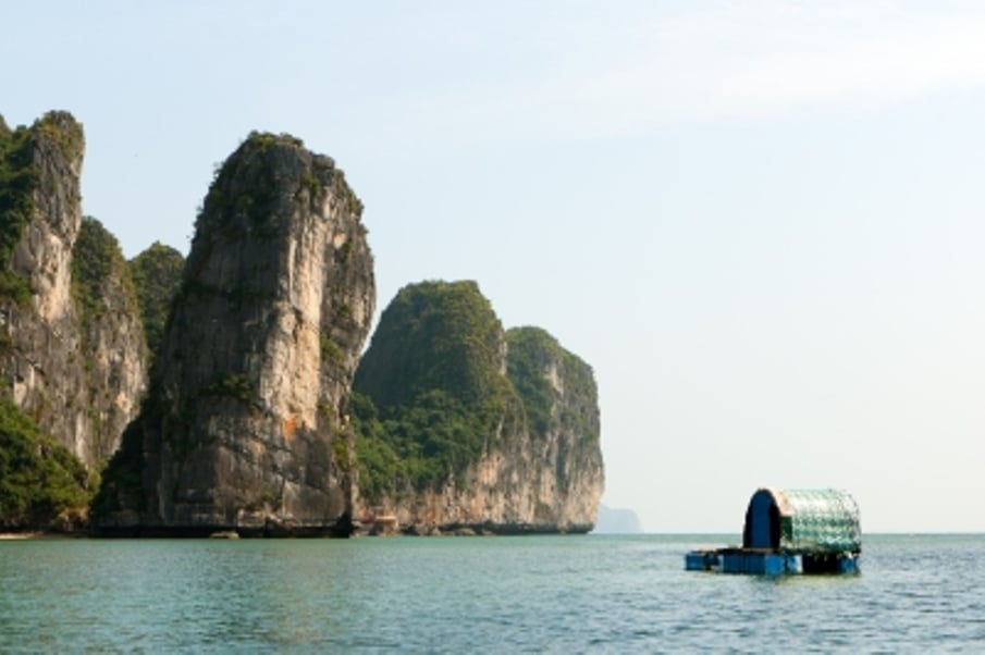Limestone Cliffs in Ha Long Bay