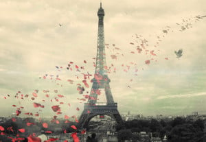 rose petals by the eiffel tower