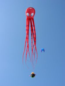 know about kites and octopus shape