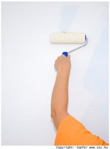 arm painting a wall