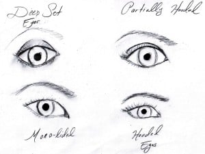 eyes, eye shape, drawings of eyes