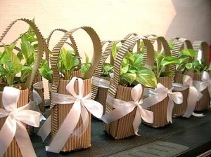 Eco-friendly Thank You Gifts