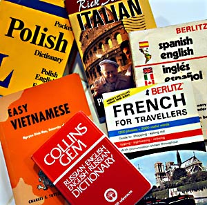 dictionaries for foreign languages