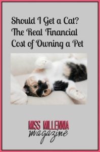 Should I Get a Cat The Real Financial Cost of Owning a Pet