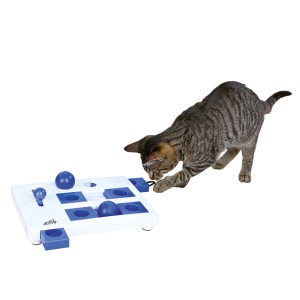 cat puzzle toy for Bengal cats