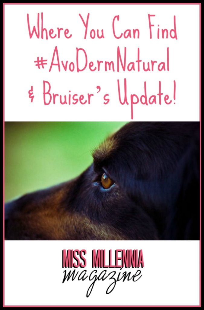 Where You Can Find #AvoDermNatural & Bruiser’s Update!