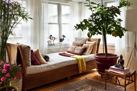 living room with trees is a healthy space