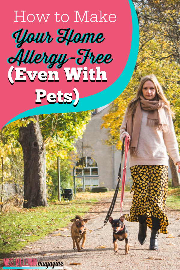 How To Make Your Home Allergy-Free (Even With Pets)