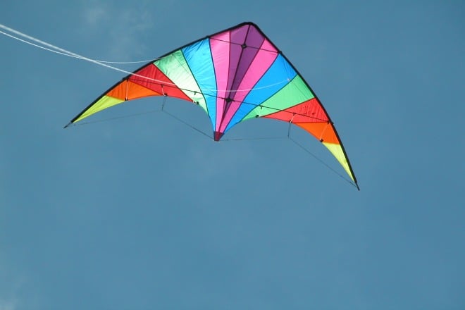 6 Things To Know About Kites