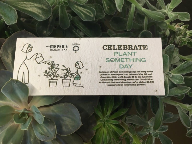 Why I’m Celebrating Plant Something Day
