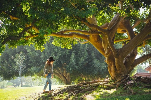 girl walking under a tree