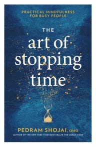 the art of stopping time book cover