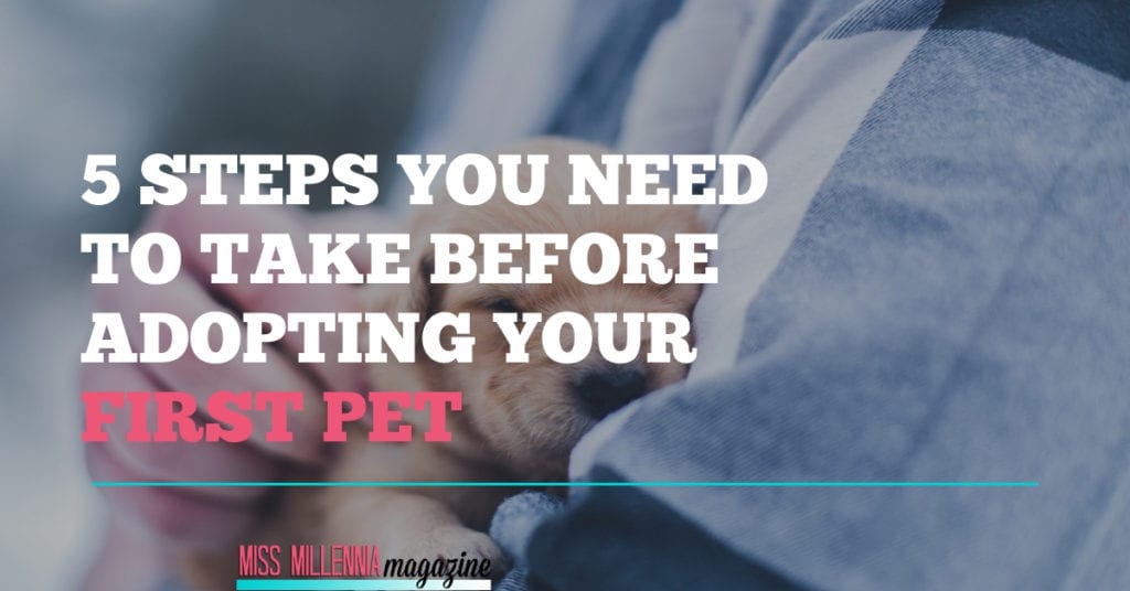 5 Steps You Need To Take Before Adopting Your First Pet