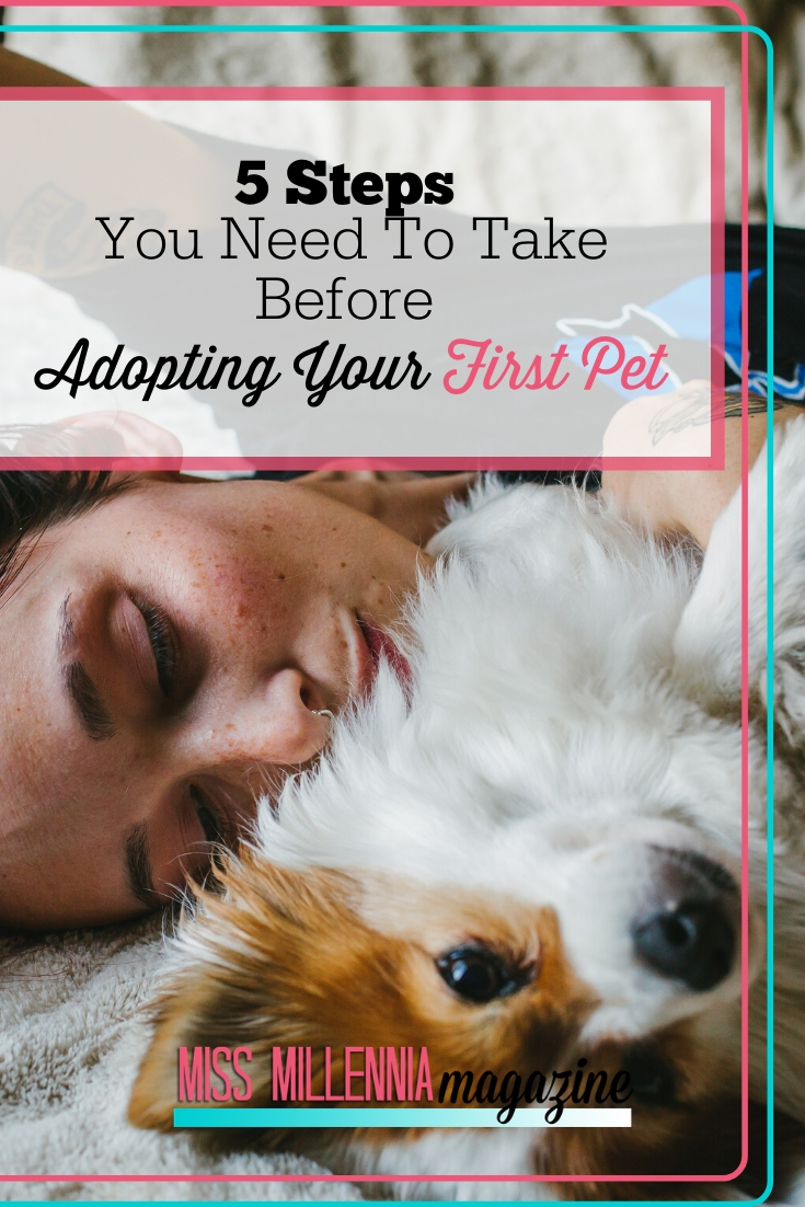 Mistakes I Made When Adopting My First Pet - Featured Image