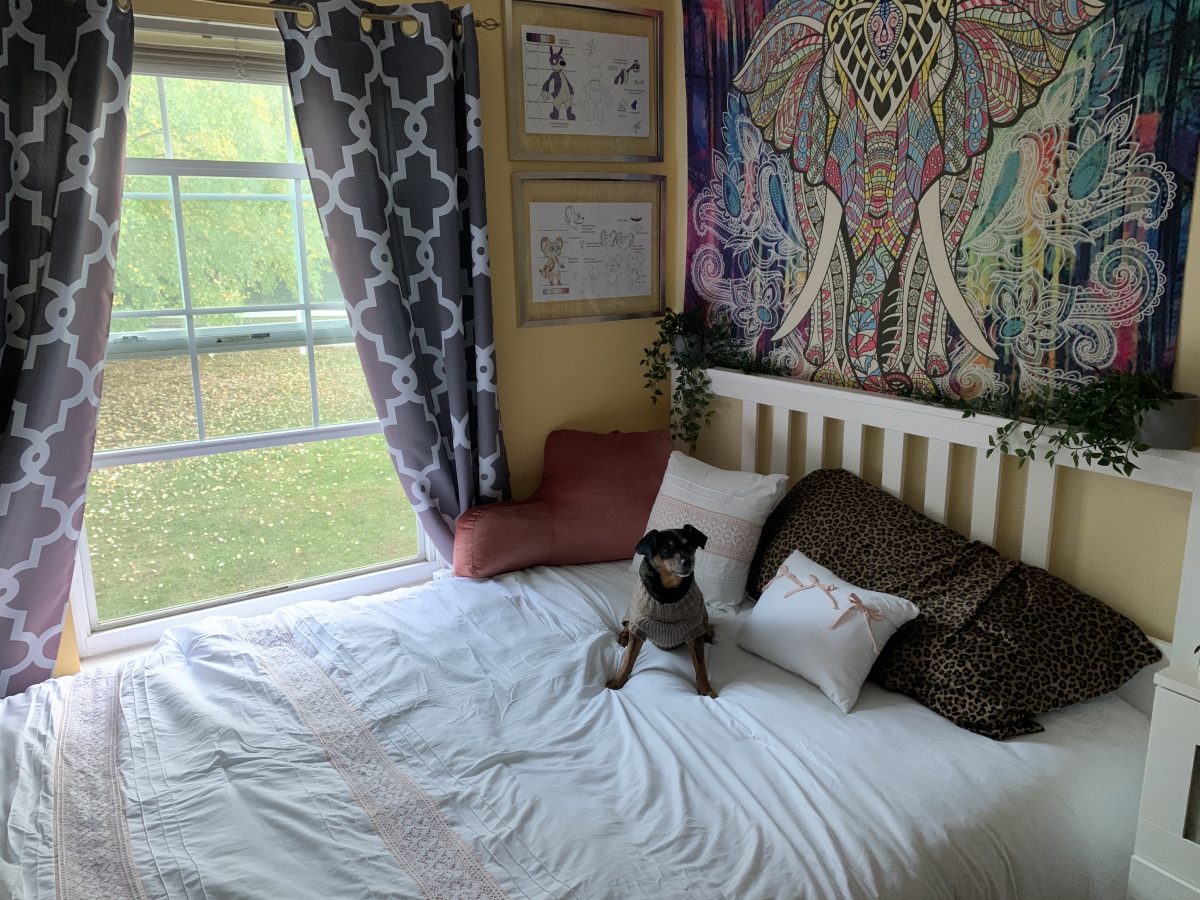 Bedroom with new Dreamcloud mattress
