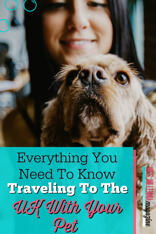 Everything You Need To Know About Traveling To The UK With Your Pet