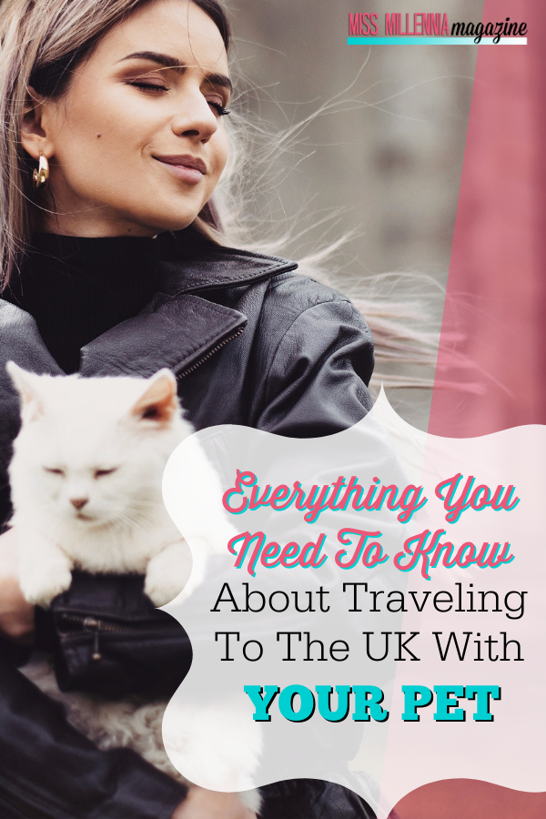 Everything You Need To Know About Traveling To The UK With Your Pet