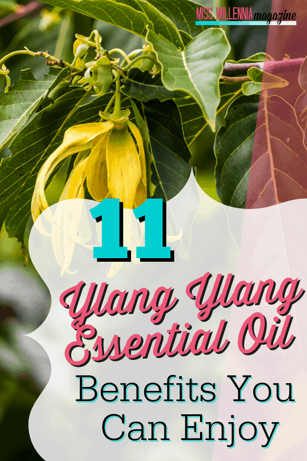 11 Ylang Ylang Essential Oil Benefits You Can Enjoy