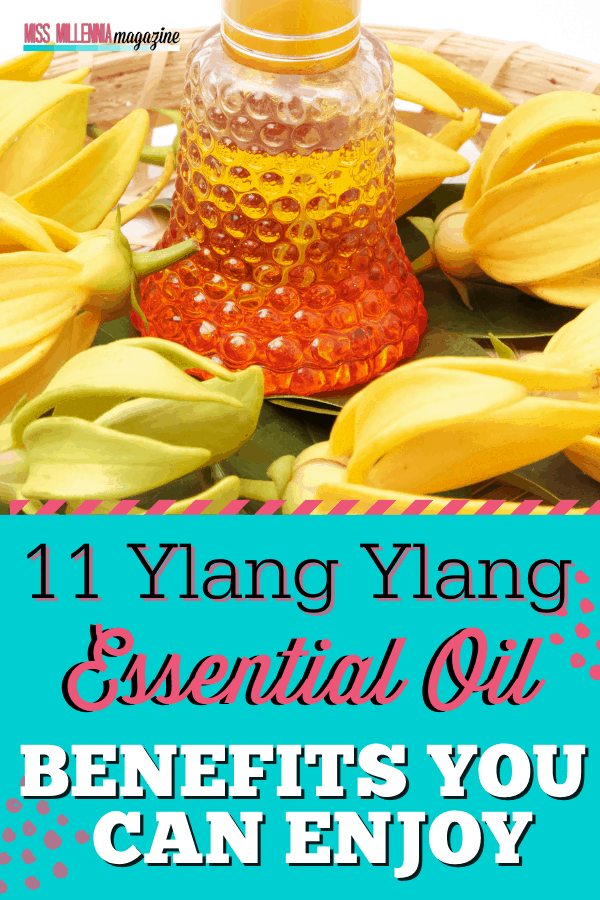 11 Ylang Ylang Essential Oil Benefits You Can Enjoy