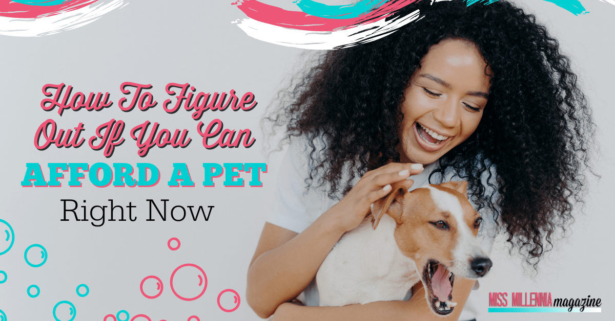 How To Figure Out If You Can Afford A Pet Right Now