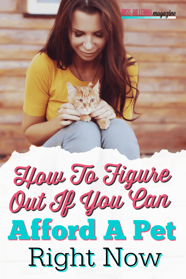 How To Figure Out If You Can Afford A Pet Right Now