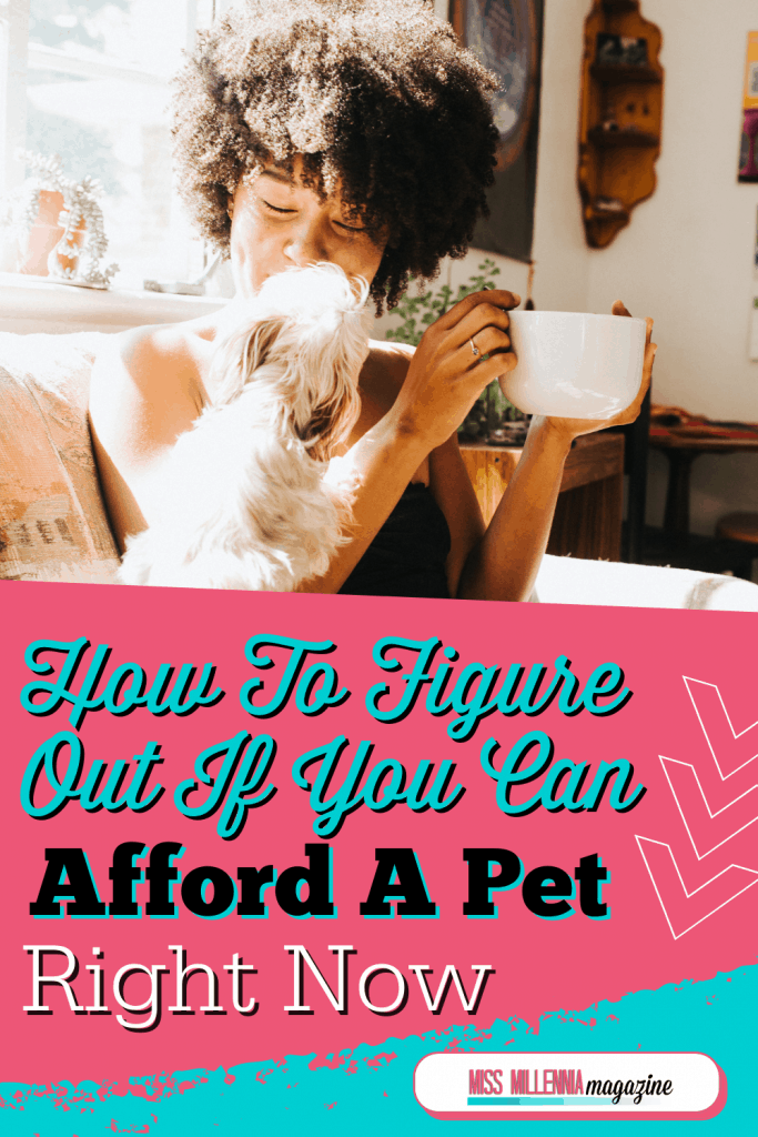 How To Figure Out If You Can Afford A Pet Right Now