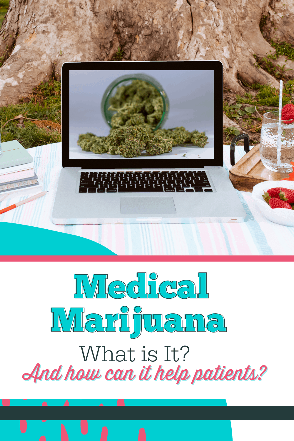 Medical Marijuana – What Is It, And How Can It Help Patients? (2021)