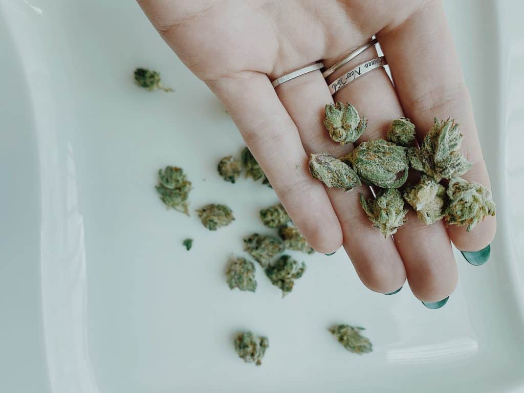 Woman holding medical marijuana in hand. 