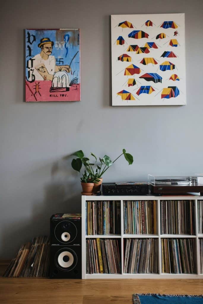 invest in collectables such as vinyls and art 