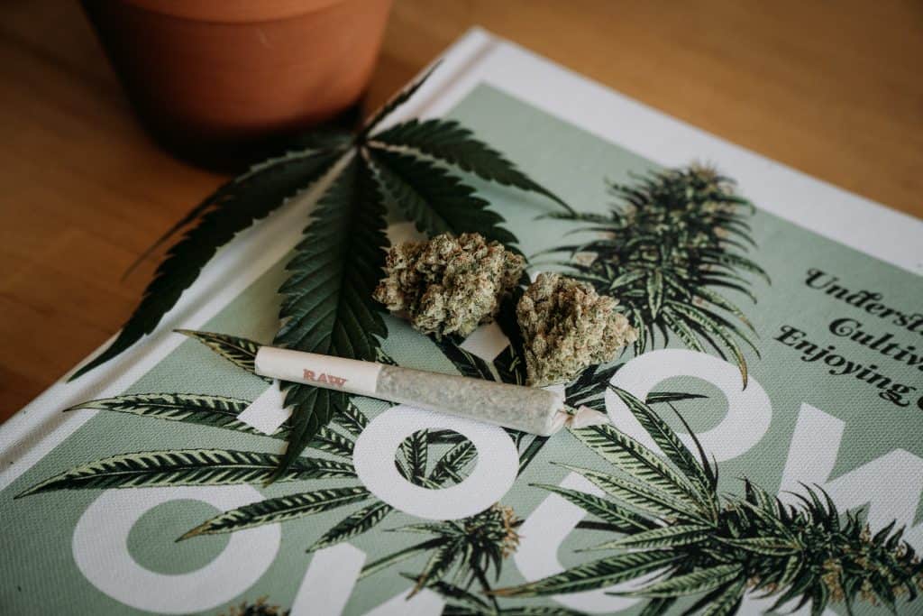 Medical marijuana joint on a book. 