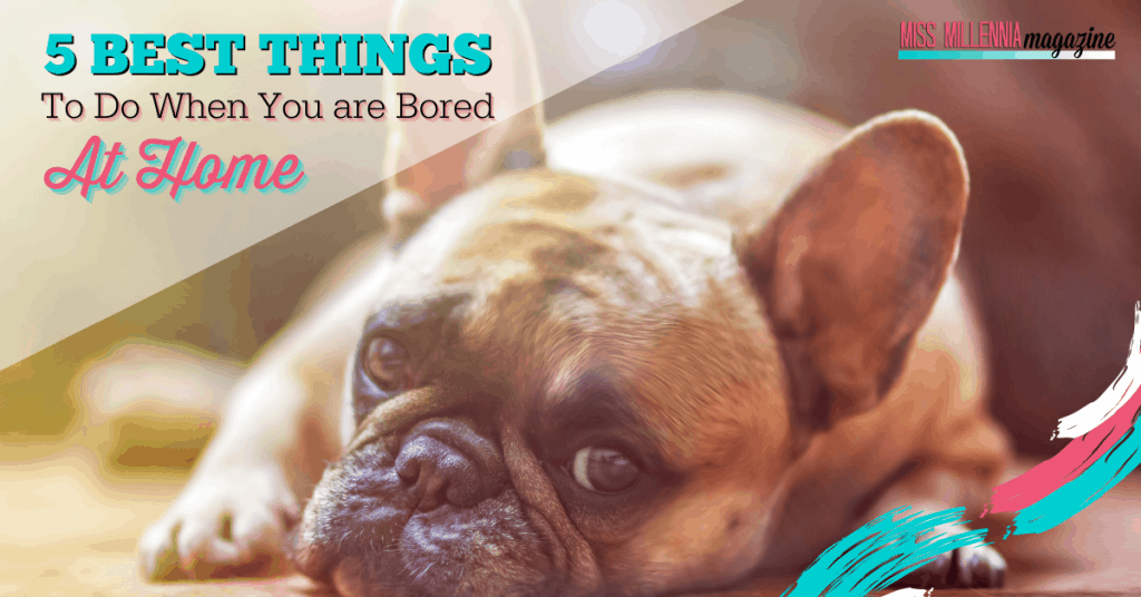 5 Best Things to Do When You are Bored at Home
