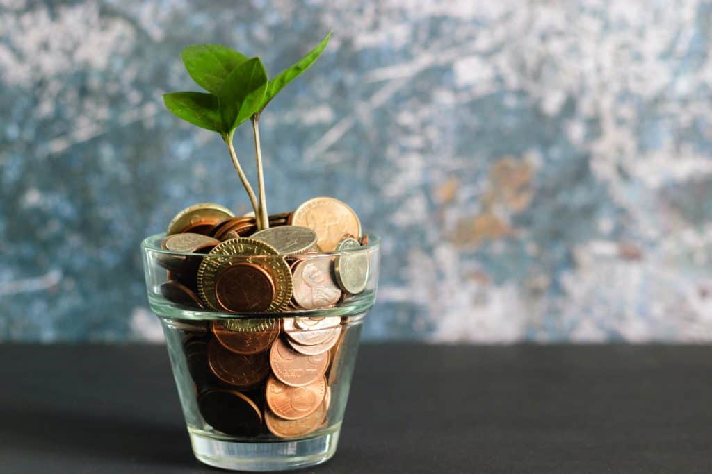A small plant growing out of coins.
