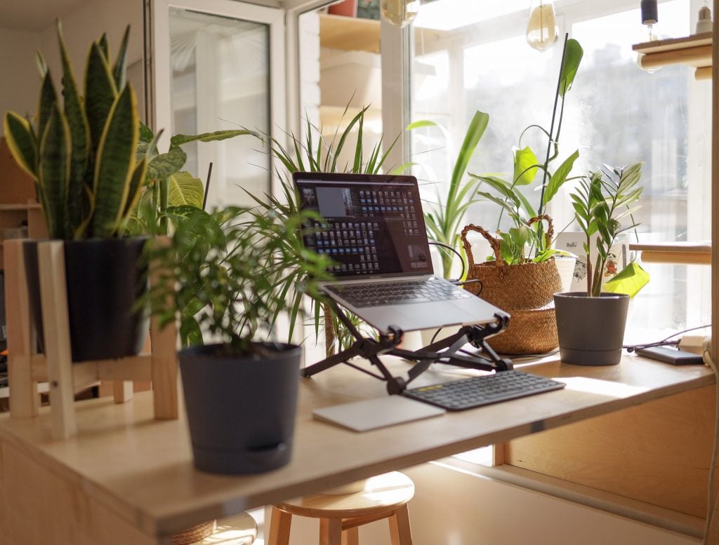A laptop sitting on a standing desk surrounded by plants 