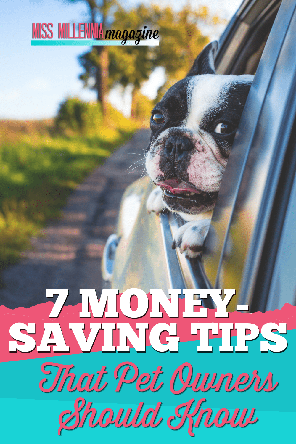 7 Money-Saving Tips That Pet Owners Should Know