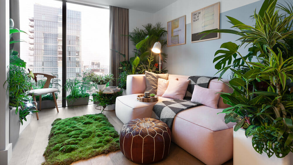 Plants are a great way to elevate a room this isn't too expensive!