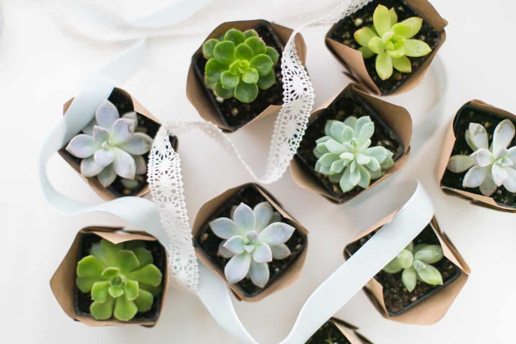 Create your own wedding favors