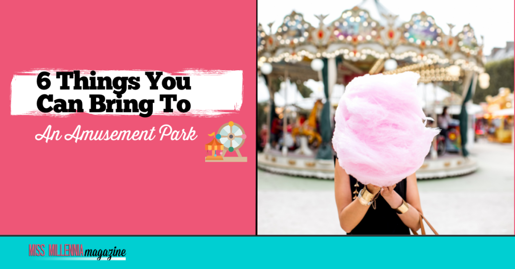 6 Things You Can Bring To An Amusement Park