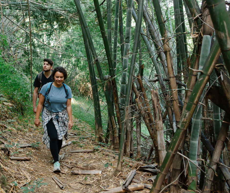 woman and man hiking through bamboo forest