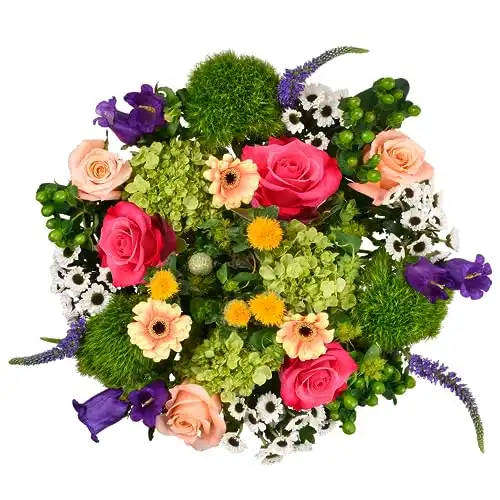 Floral Compass Bouquet of Flowers for Delivery - Prime Eligible - Celebration Flower Bouquet, 30+ Fresh Cut Flowers, No Vase
