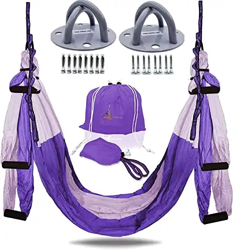 Antigravity Aerial Yoga Swing Pilates Swing Sling Hammock?Inversion  Complete Sets Professional Studio Equipment(Purple 5?¨¢2.8m)